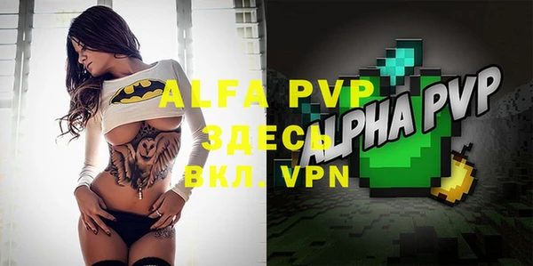 apvp Белокуриха