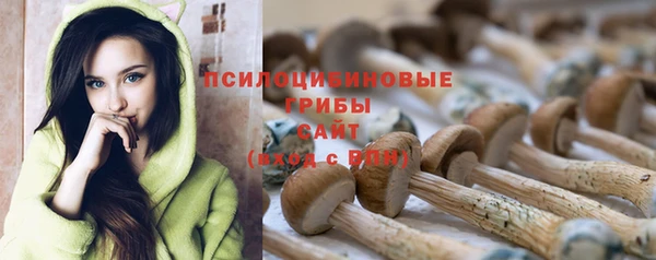apvp Белокуриха