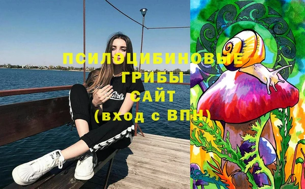 бошки Беломорск