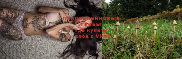 apvp Белокуриха