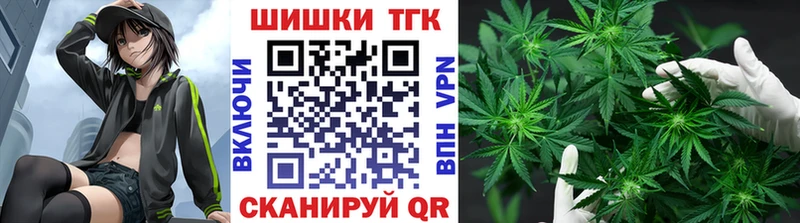 где можно купить   Гудермес  Бошки Шишки ГИДРОПОН 